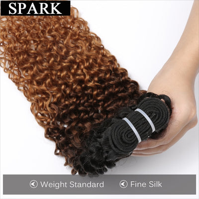 n Afro Kinky Curly Hair Bundles