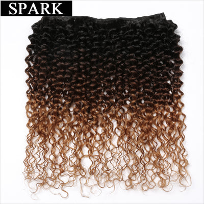 n Afro Kinky Curly Hair Bundles
