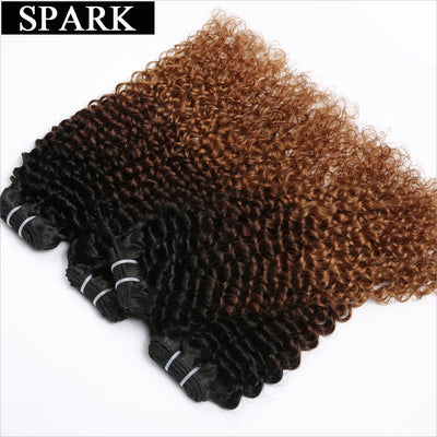 n Afro Kinky Curly Hair Bundles