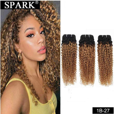 n Afro Kinky Curly Hair Bundles